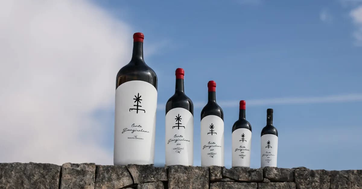 Best Wine Tours in Apulia 2026