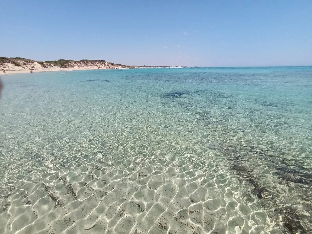 Torre Guaceto